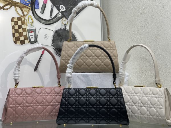 2023 Fall Lady Dior Bag