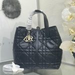 Dior Toujours
