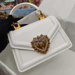 DG Small Devotion bag in python skin (1)