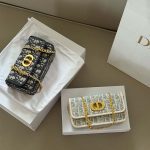 Small Miss Caro Pouch with Chain (1)