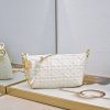 New Diorstar Hobo Bag (1)