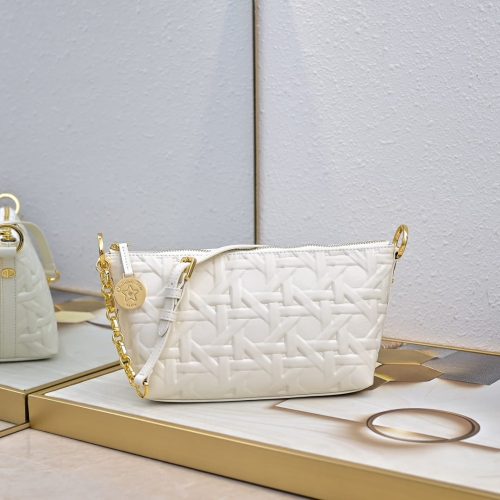 New Diorstar Hobo Bag (1)