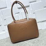 MiuMiu Leather Beau bag (10)