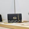 Small Miss Caro Pouch with Chain dr (1)