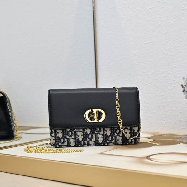 Small Miss Caro Pouch with Chain dr (1)