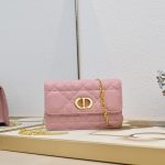 Small Miss Caro Pouch with Chain pink (1)
