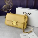 Triomphe Chain Shoulder Bag (28)