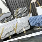 Medium Saddle Pouch with Chain (1)