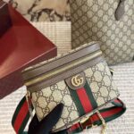Gucci Ophidia Chain Belt Bag (1)