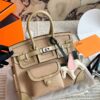 Hermès Birkin 25 Cargo Ecru-Beige (1)
