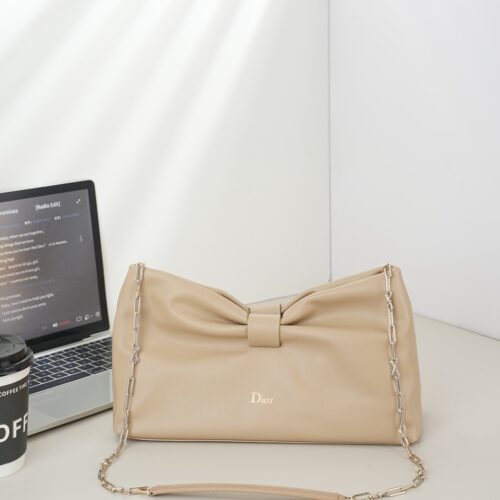 Dior Bow Bag Medium Small (31)