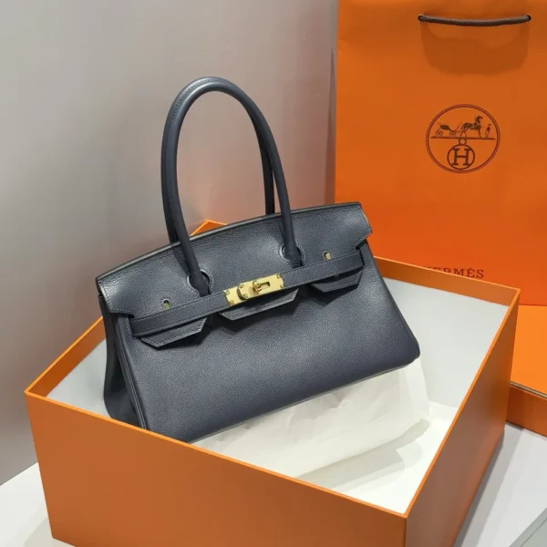 Shoulder Birkin 29 Evercolor Gold Hardware (10)