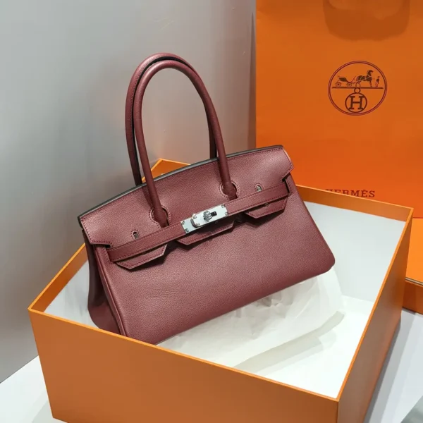 Shoulder Birkin 29 Evercolor Silver Plate (1)