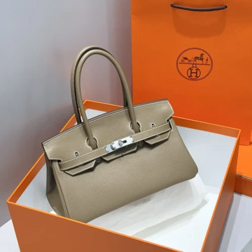 Shoulder Birkin 29 Evercolor Silver Plate (28)