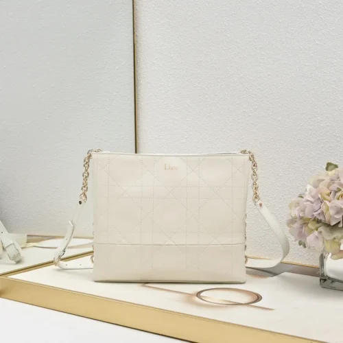 Dior Trianon Bag with Chain (28)