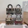 Lady D-Lite Bag Embroidered Canvas Bag with box (1)