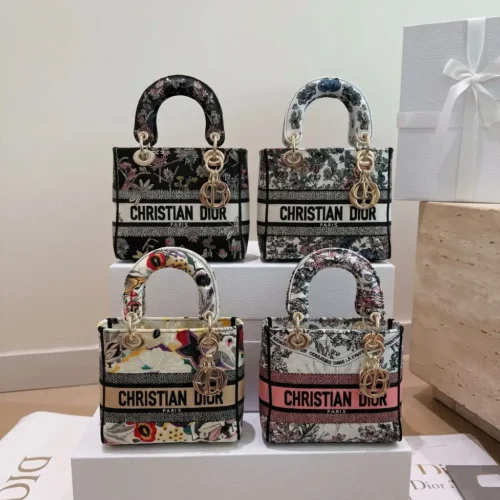 Lady D-Lite Bag Embroidered Canvas Bag with box (1)