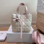Small Dior Toujours Vertical Tote Bag bow with box (1)