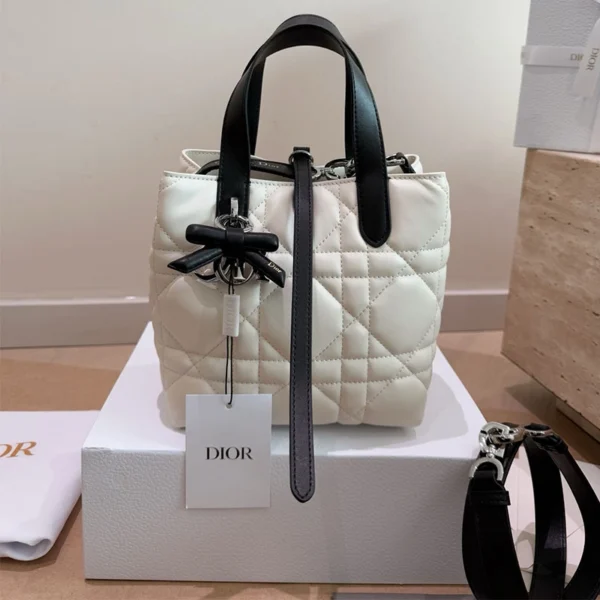 Small Dior Toujours Vertical Tote Bag bow with box (10)