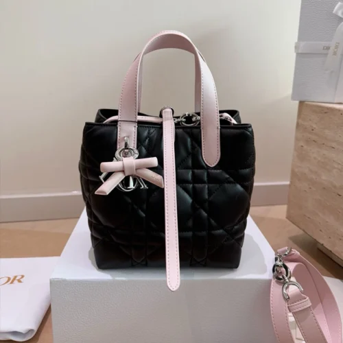 Small Dior Toujours Vertical Tote Bag bow with box (19)