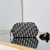 Dior Bow Pouch